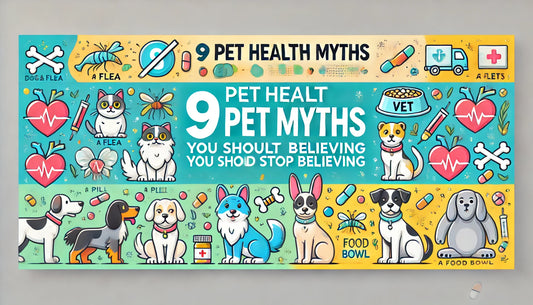 9個你必須停止相信的寵物健康迷思
