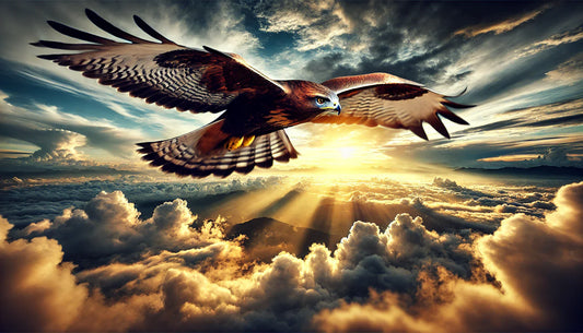夢見鷹代表什麼？解讀鷹的靈性訊息與象徵意義